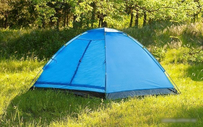 Треккинговая палатка Calviano Acamper Domepack 4 (синий) - фото 5 - id-p214446825