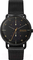 Часы наручные мужские Skagen SKW6538