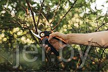 Секатор плоскостной XSERIES POWERGEAR M P921 FISKARS 1057173, фото 2