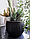Горшок цветочный DKB150, черный бетон, фото 2