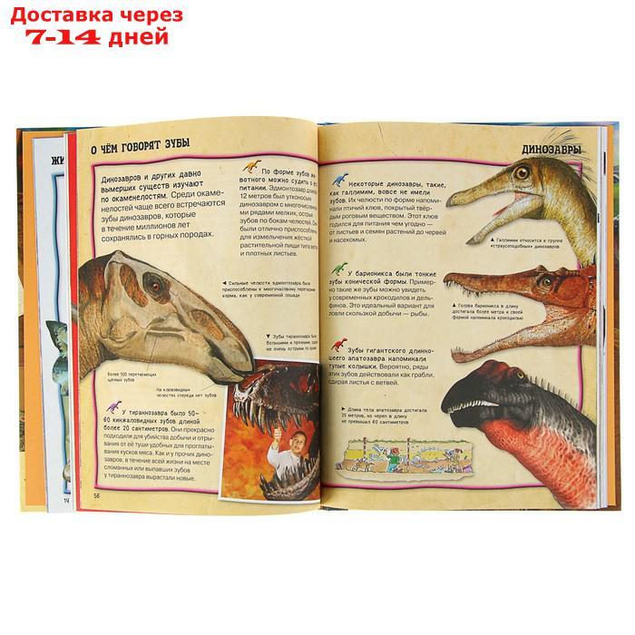 Энциклопедия для детей "Всё о динозаврах" - фото 3 - id-p214514094