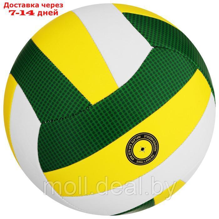 Волейбольный мяч Minsa Basic Nature, размер 5, TPU, машинная сшивка, камера бутил - фото 2 - id-p214516624