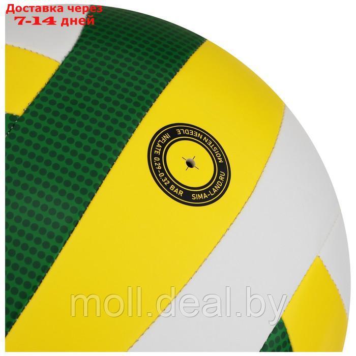 Волейбольный мяч Minsa Basic Nature, размер 5, TPU, машинная сшивка, камера бутил - фото 3 - id-p214516624