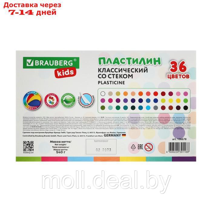 Пластилин 36цв 540г BRAUBERG KIDS, со стеком.ВЫСШЕЕ КАЧЕСТВО - фото 7 - id-p214518764