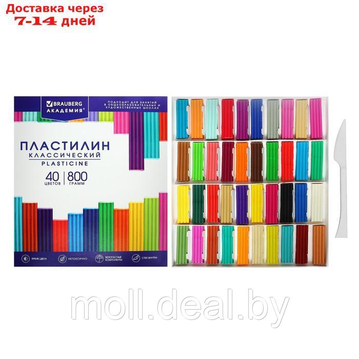 Пластилин 40цв 480г BRAUBERG "АКАДЕМИЯ КЛАССИЧЕСКАЯ", со стеком.ВЫСШЕЕ КАЧЕСТВО - фото 1 - id-p214518779