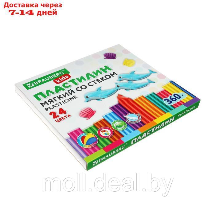 Пластилин мягкий (восковой) 24цв 360гр BRAUBERG KIDS - фото 3 - id-p214518781