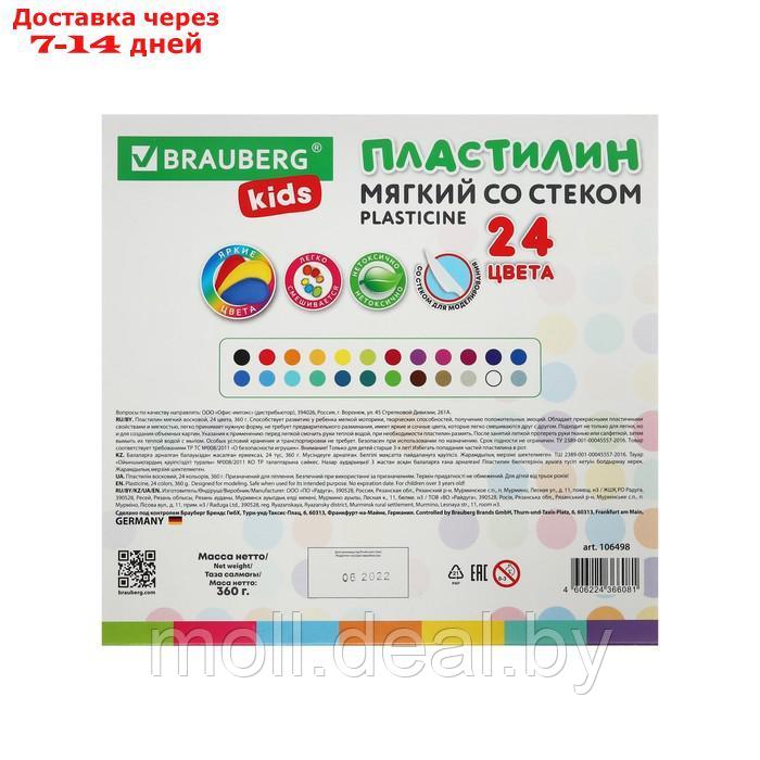 Пластилин мягкий (восковой) 24цв 360гр BRAUBERG KIDS - фото 4 - id-p214518781