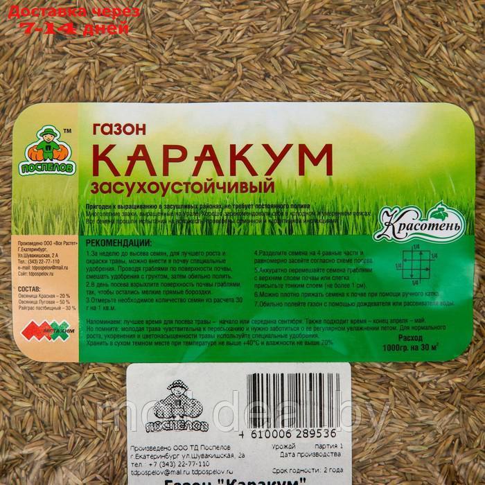 Газон "Красотень", Каракум (Засухоустойчивый), 1 кг - фото 2 - id-p214517873