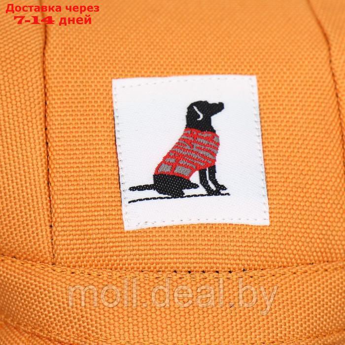 Кепка для собак, S (22-34 см), оранжевая - фото 5 - id-p214517049