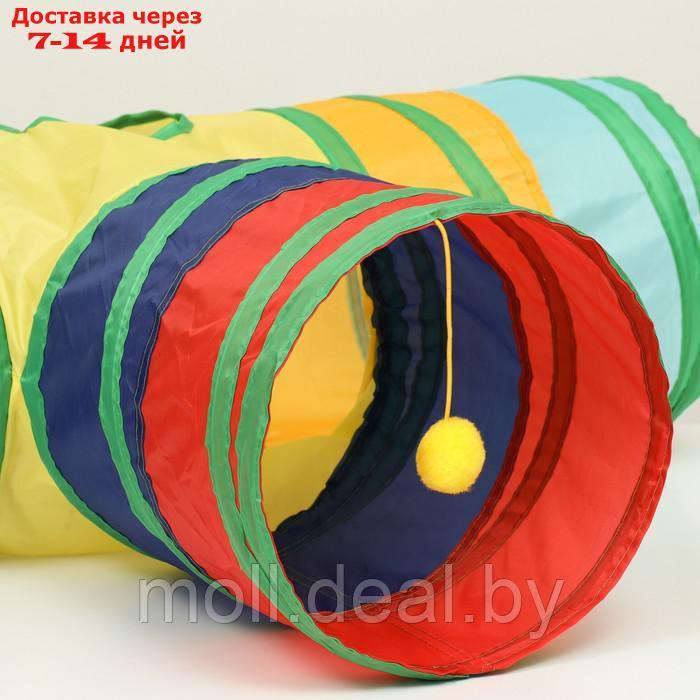Туннель для кошек шуршащий "Тройник", 80 х 25 см, разноцветный - фото 2 - id-p214517050