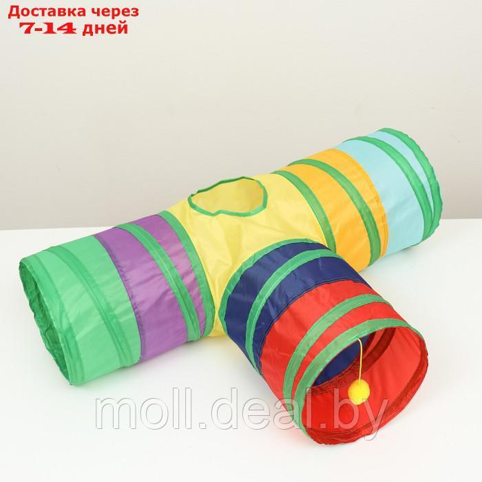 Туннель для кошек шуршащий "Тройник", 80 х 25 см, разноцветный - фото 4 - id-p214517050