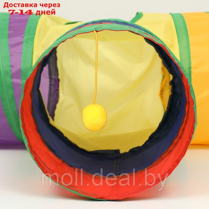 Туннель для кошек шуршащий "Тройник", 80 х 25 см, разноцветный - фото 6 - id-p214517050