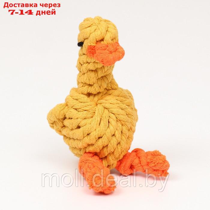 Игрушка канатная "Цыплёнок" до 110 г, 14*9 см, жёлтая - фото 2 - id-p214517056