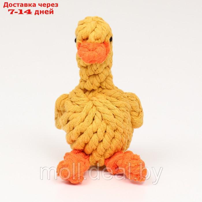 Игрушка канатная "Цыплёнок" до 110 г, 14*9 см, жёлтая - фото 3 - id-p214517056
