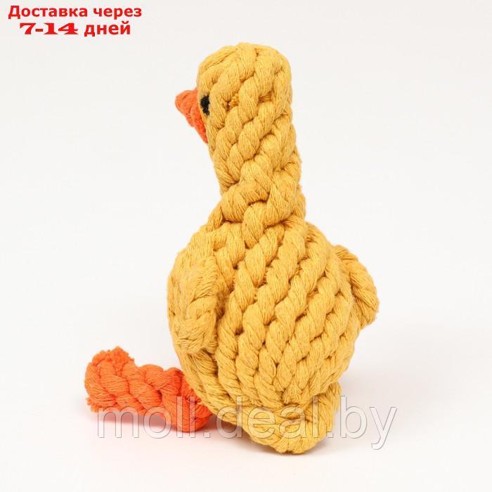 Игрушка канатная "Цыплёнок" до 110 г, 14*9 см, жёлтая - фото 4 - id-p214517056