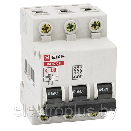Выключатель автоматический ВА 47-29 3P (C) 4,5кА EKF Basic 10A, фото 2