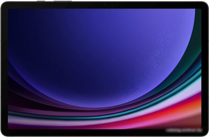 Планшет Samsung Galaxy Tab S9 5G SM-X716 8GB/128GB (графитовый) - фото 2 - id-p214638796