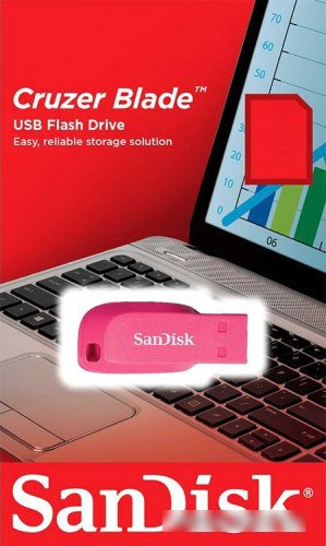USB Flash SanDisk Cruzer Blade 64GB (розовый) - фото 4 - id-p214644398