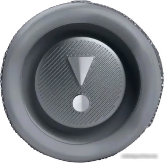 Беспроводная колонка JBL Flip 6 (серый) - фото 4 - id-p214641034