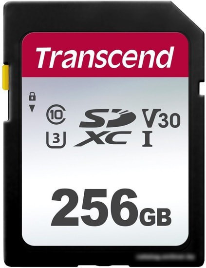 Карта памяти Transcend SDHC 300S 256GB - фото 1 - id-p214644788