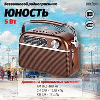 PERFEO (PF D0560) Юность I30BL коричневый