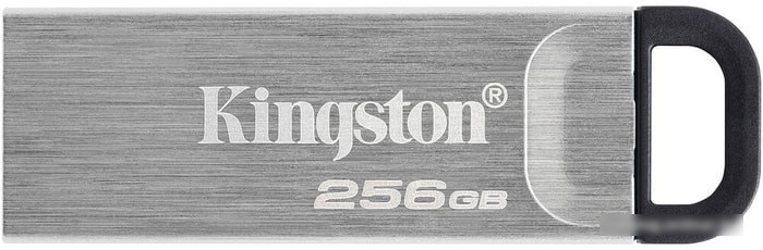 USB Flash Kingston Kyson 256GB - фото 1 - id-p214644007