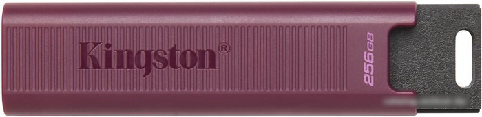 USB Flash Kingston DataTraveler Max Type-A 256GB - фото 1 - id-p214644009
