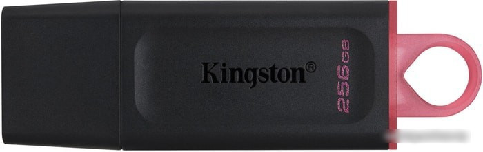 USB Flash Kingston Exodia 256GB - фото 1 - id-p214644010