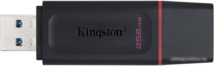USB Flash Kingston Exodia 256GB - фото 5 - id-p214644010