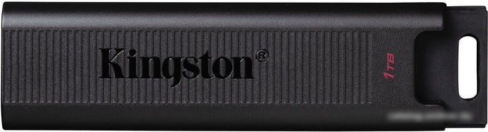 USB Flash Kingston DataTraveler Max 1TB - фото 1 - id-p214644030