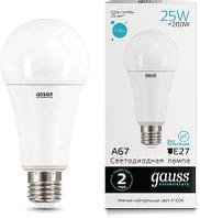 Упаковка ламп LED GAUSS E27, груша, 25Вт, 10 шт. [73225]