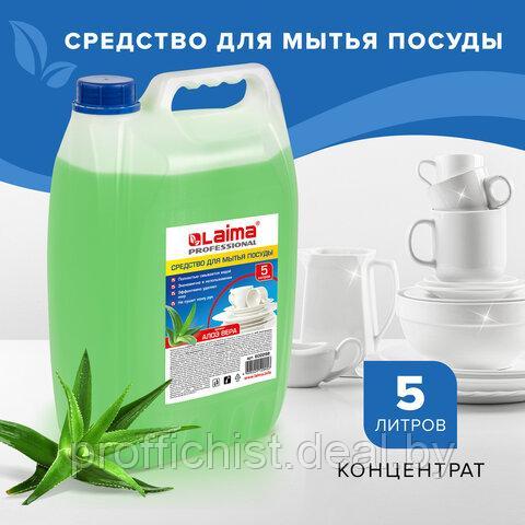 Средство для мытья посуды 5 л, LAIMA PROFESSIONAL концентрат, "Алоэ Вера" ЦЕНА БЕЗ НДС - фото 1 - id-p209920853