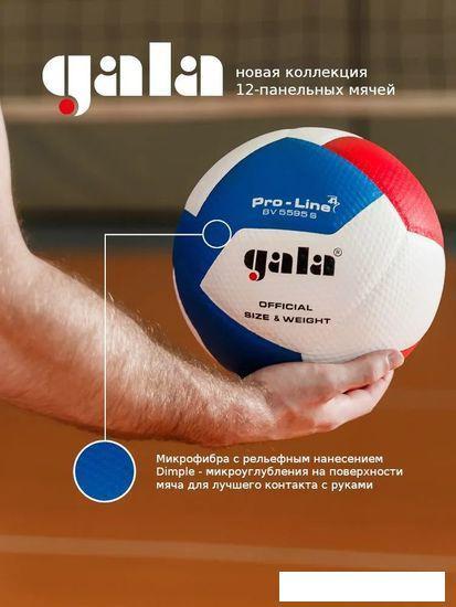 Волейбольный мяч Gala Pro-Line 12 BV 5595 SA (размер 5, белый/красный/голубой) - фото 2 - id-p214047254