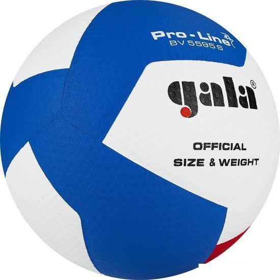 Волейбольный мяч Gala Pro-Line 12 BV 5595 SA (размер 5, белый/красный/голубой) - фото 3 - id-p214047254