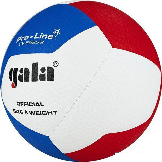 Волейбольный мяч Gala Pro-Line 12 BV 5595 SA (размер 5, белый/красный/голубой) - фото 4 - id-p214047254