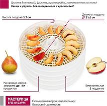 Сушилка для овощей и фруктов Мастерица EFD-0502VM (5 поддонов и 1 поддон для пастилы), фото 3