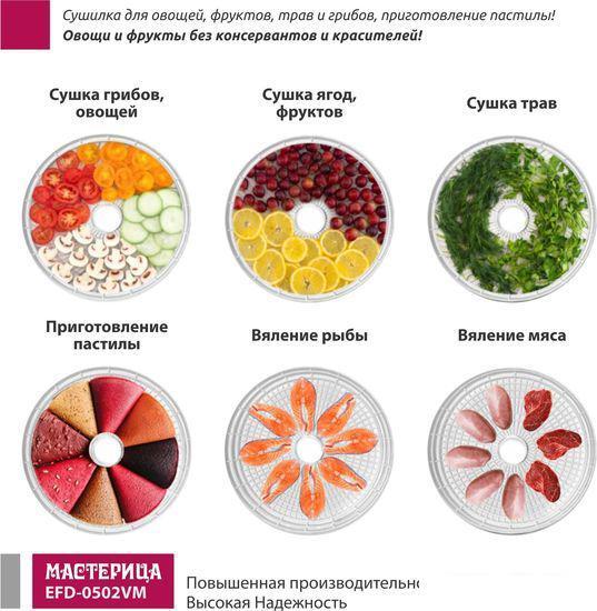 Сушилка для овощей и фруктов Мастерица EFD-0502VM (5 поддонов и 1 поддон для пастилы) - фото 8 - id-p214401415