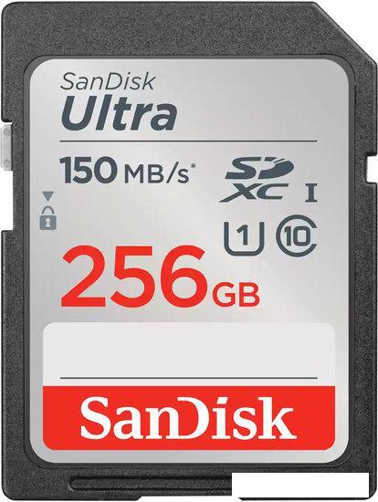Карта памяти SanDisk Ultra SDXC SDSDUNC-256G-GN6IN 256GB - фото 1 - id-p210916519