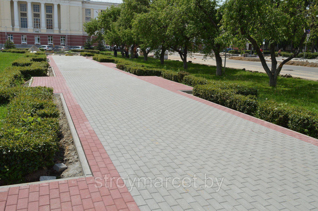 Тротуарная плитка Прямоугольник Лайн, 60 мм, серый, гладкая - фото 2 - id-p196063618