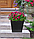 Горшок цветочный Sonata 33см, 30x30x33см, черный сланец, фото 5