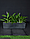 Горшок цветочный Sonata Plain Tapered 15x61x15см, стальной серый, фото 5