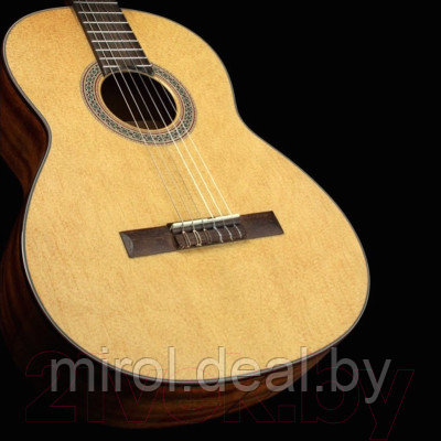 Акустическая гитара Cort AC-100 OP - фото 2 - id-p214674509