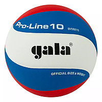 Мяч волейбольный Gala Pro-Line 10
