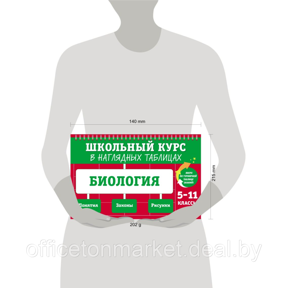 Книга "Школьный курс в наглядных таблицах. Биология: 5-11 классы", Мазур О., Никитинская Т. - фото 7 - id-p212220824