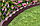Бордюр садовый для грядок и клумб Flexi Curve Scalloped Border, земляной, фото 3