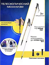 Палки для скандинавской ходьбы S-Maker / складные треккинговые (бронза), фото 3