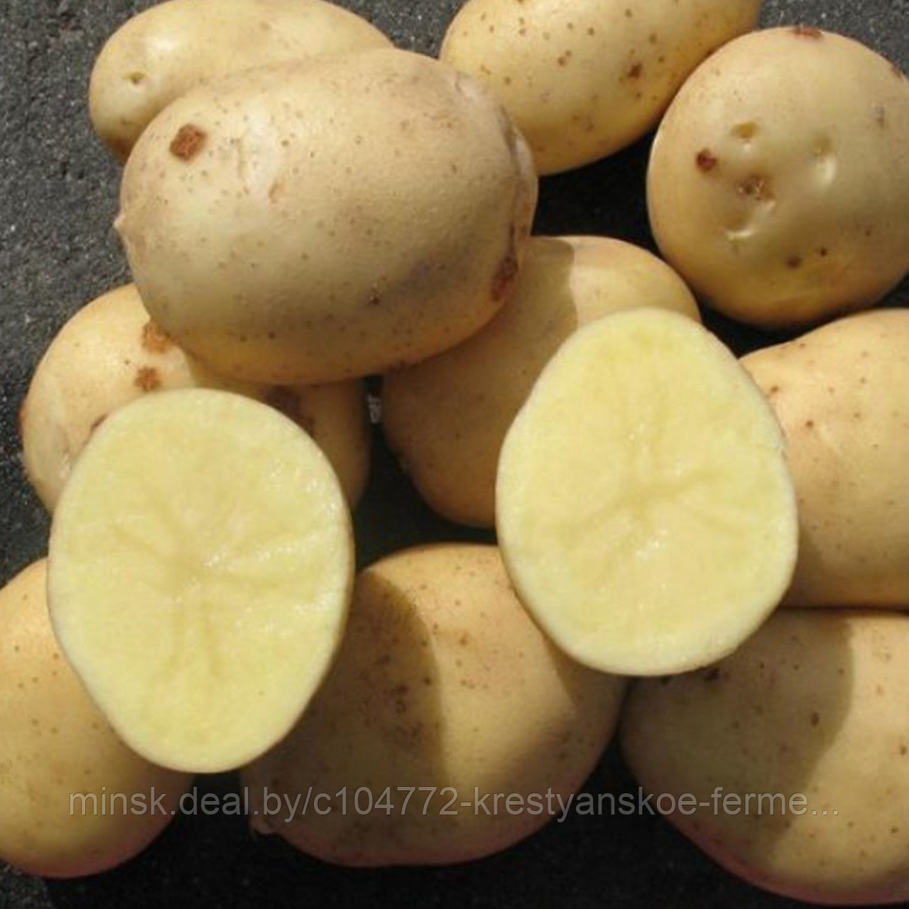 Семенной картофель Аризона 1РС - фото 1 - id-p214735141