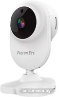 IP-камера Falcon Eye Spaik 1