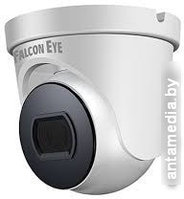 IP-камера Falcon Eye FE-IPC-D5-30pa