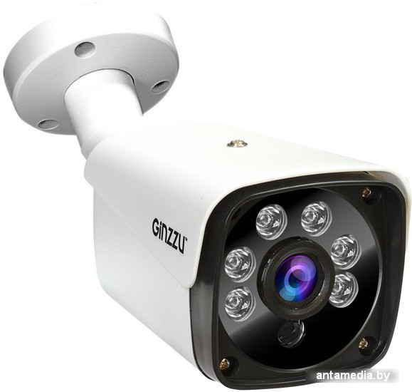 IP-камера Ginzzu HIB-4301A - фото 1 - id-p214742563